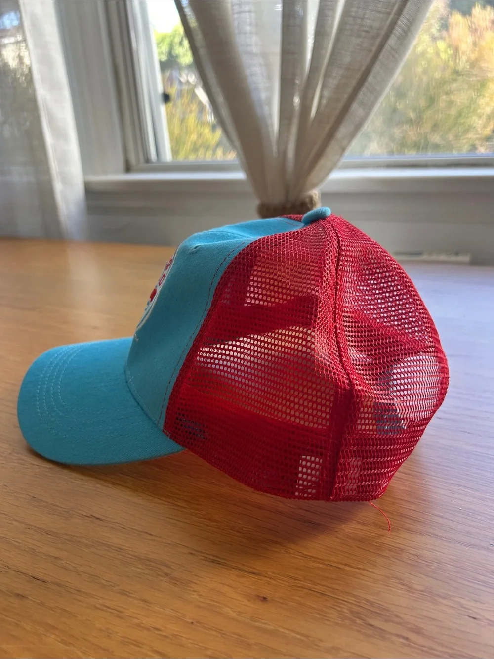 NWOT Chicago Dogs Hat. Snap Back.